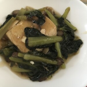 豆腐とターサイのうま煮